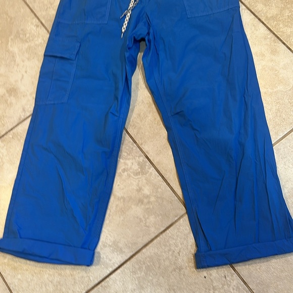 NEW! Aerie Royal Blue Skater Baggy Wide Leg Cargo Pants L 90s - Picture 6 of 8